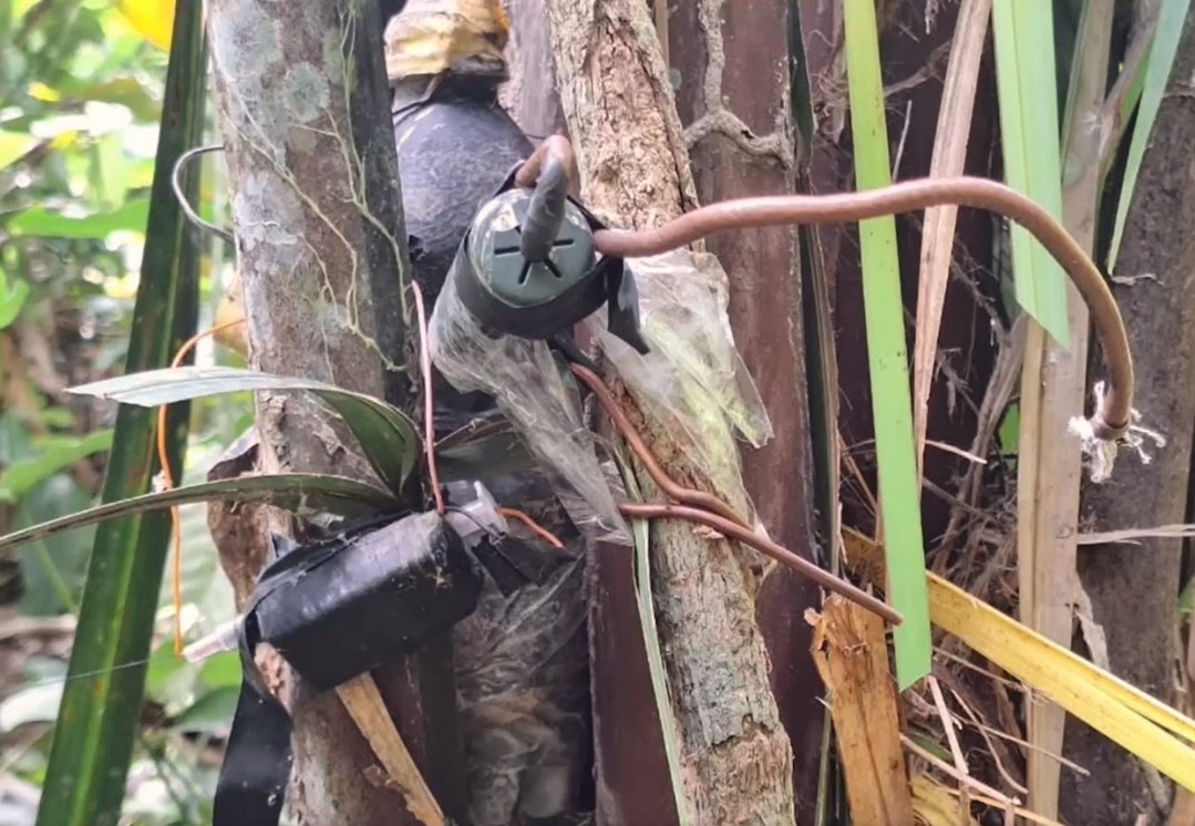 Mobius 84/2023 – Tripwire-Actuated, Syringe-Based Booby Trapped IEDs, Colombia